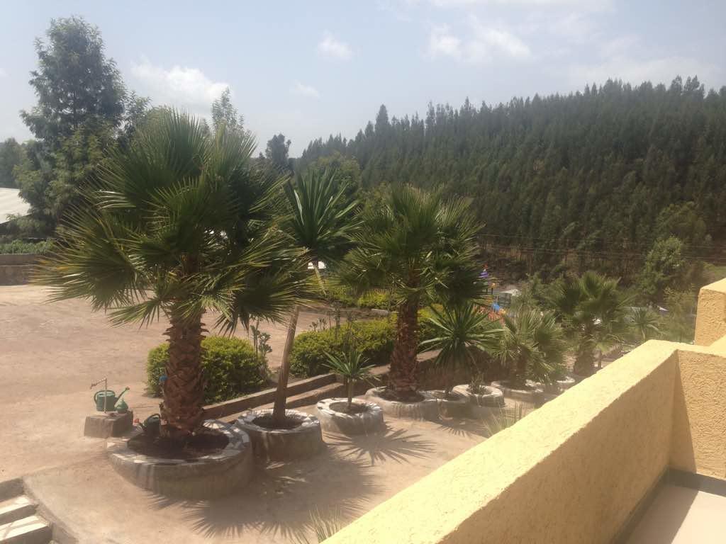 Joamla Hotel Desē Zewnętrze zdjęcie